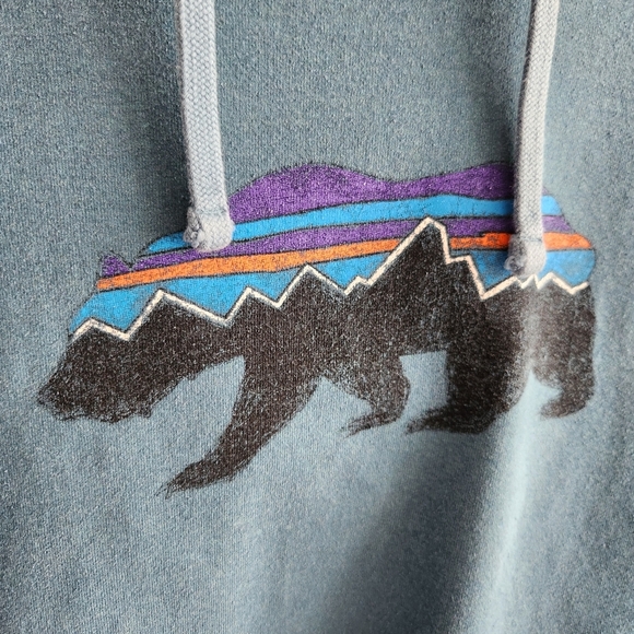 Patagonia Fitz Roy Bear Uprisal Hoodie Hooded Sweatshirt Size XS - Picture 5 of 13